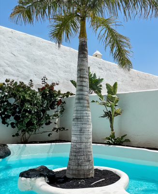 freepik__enhance__91466